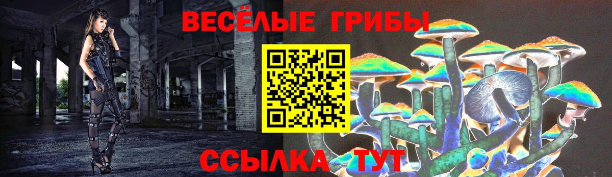Галлюциногенные грибы ЛСД Жигулёвск