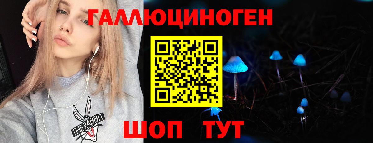 Галлюциногенные грибы Psilocybe Жигулёвск